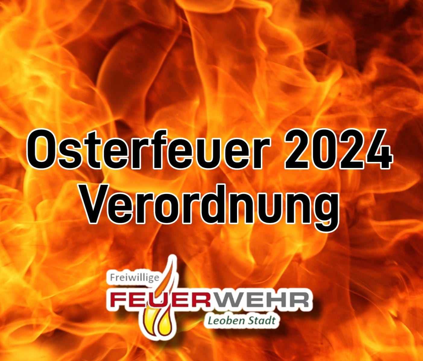 WhatsApp Image 2024 03 25 at 11.35.45